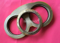 SCHWING Spectacle Wear Plate & Cutting Wear Ring 